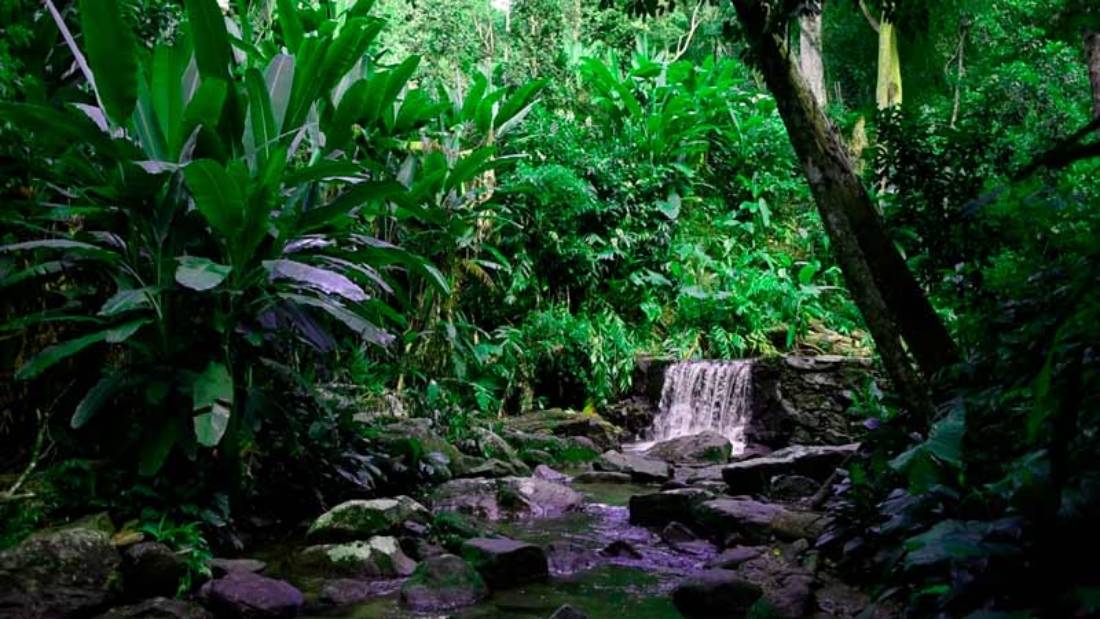natureza01